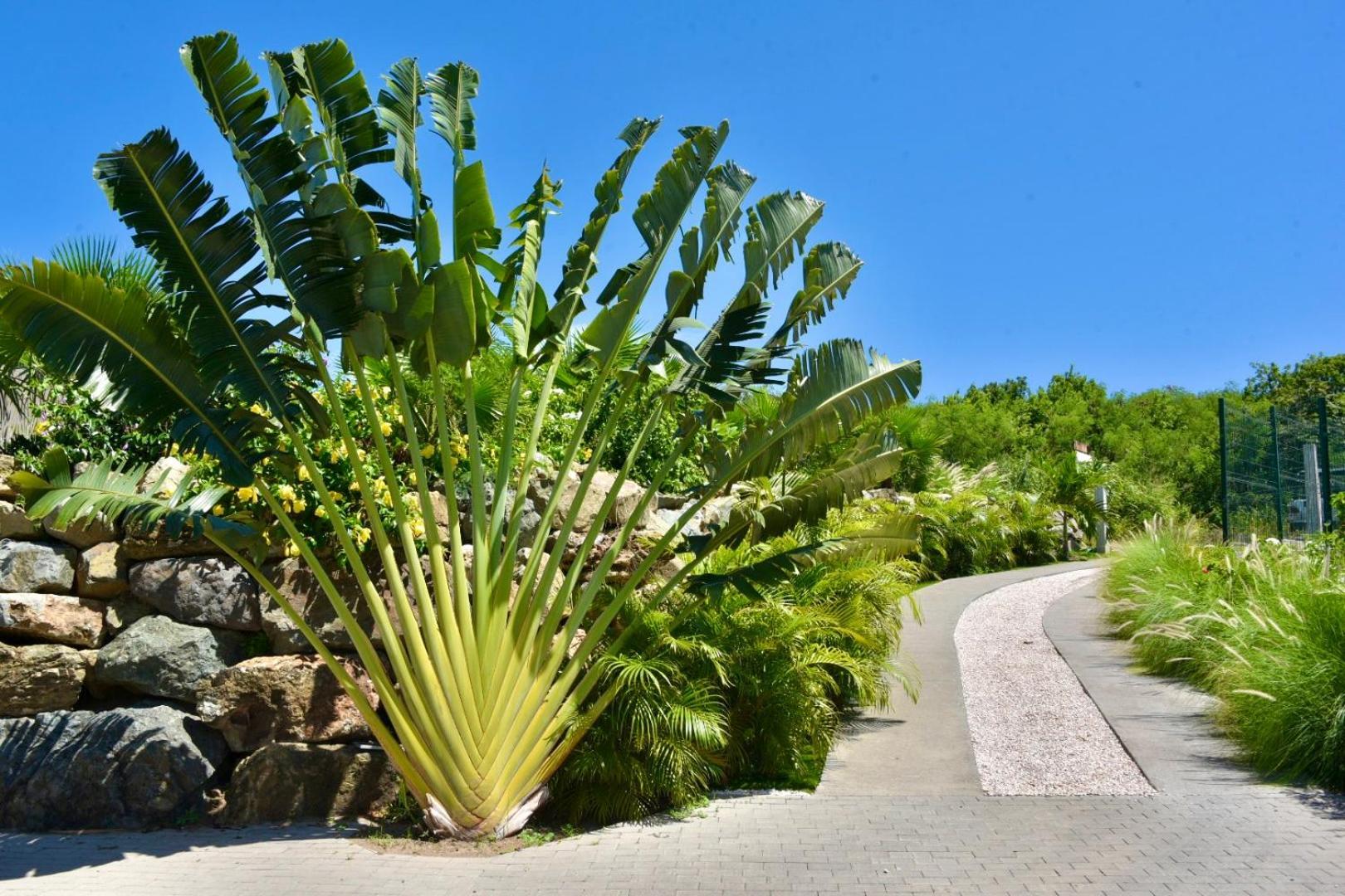 Orient Bay - Amazing Sea View - House 3Bd And 4Bd - Apartment 1 Bd Sea View - 1 Studio View Mountain Quarter of Orleans Eksteriør billede